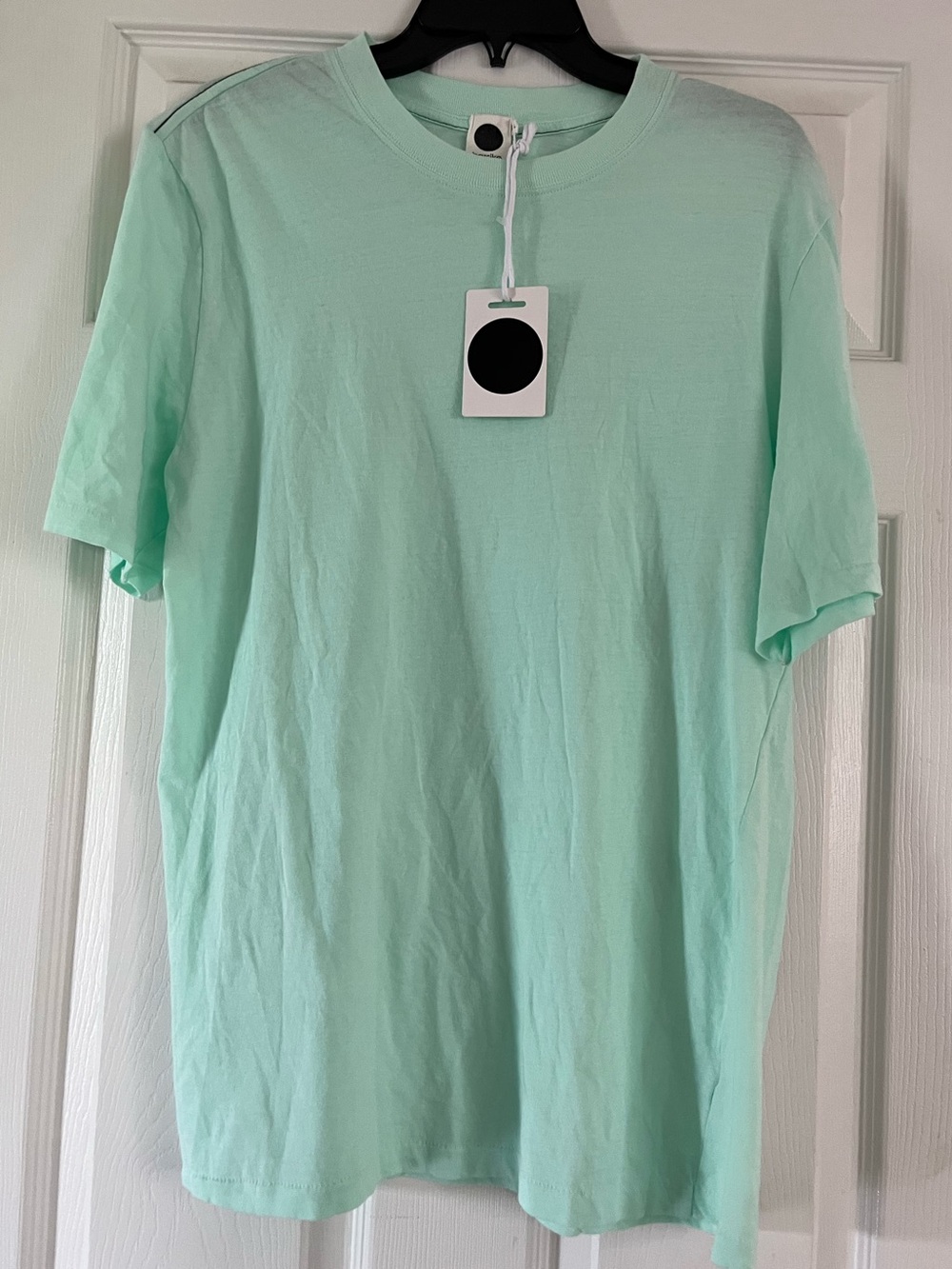 NWT! bassike Mint Tshirt Crewneck Short Sleeve Tee  cotton size xs oversized